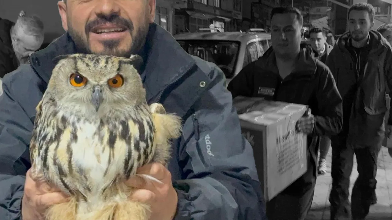 Avlanması yasak, görüntüsüyle dikkat çekti: Puhu için seferber oldular!