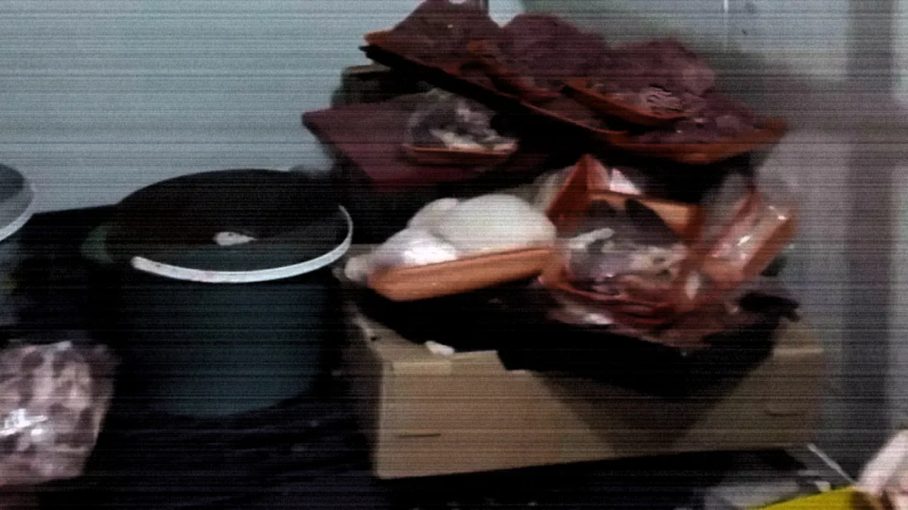 Kocaeli'deki skandalı ihbar ortaya çıkardı: Vatandaşa 6 yıllık etleri yedireceklerdi!  