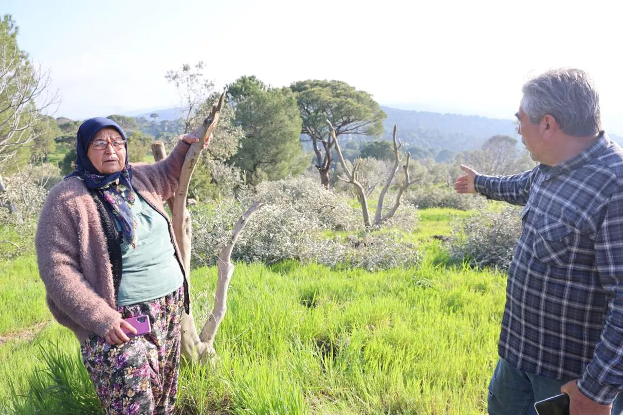 Yüzlerce ağacı katletti, köy halkının bütün emeği bir gecede bitti!