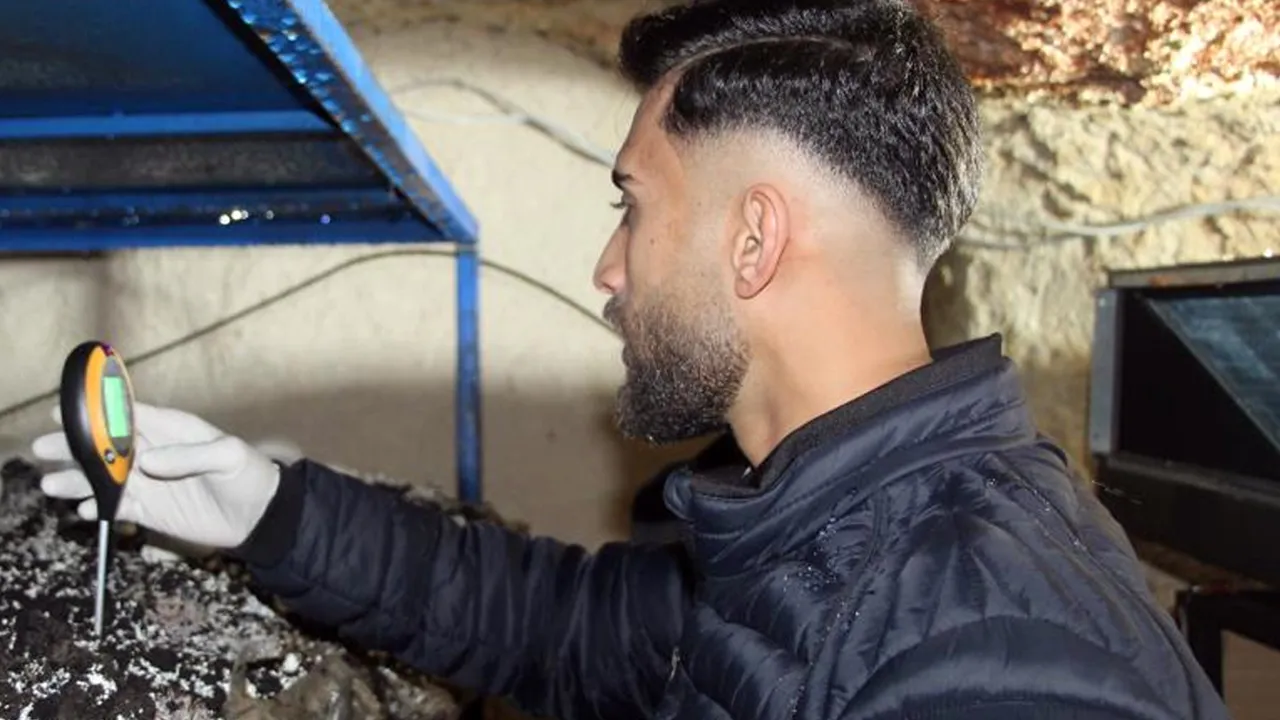 2 bin yıllık tarihi mağaraya tesis kurdu! Aylık 3 ton üretiyor