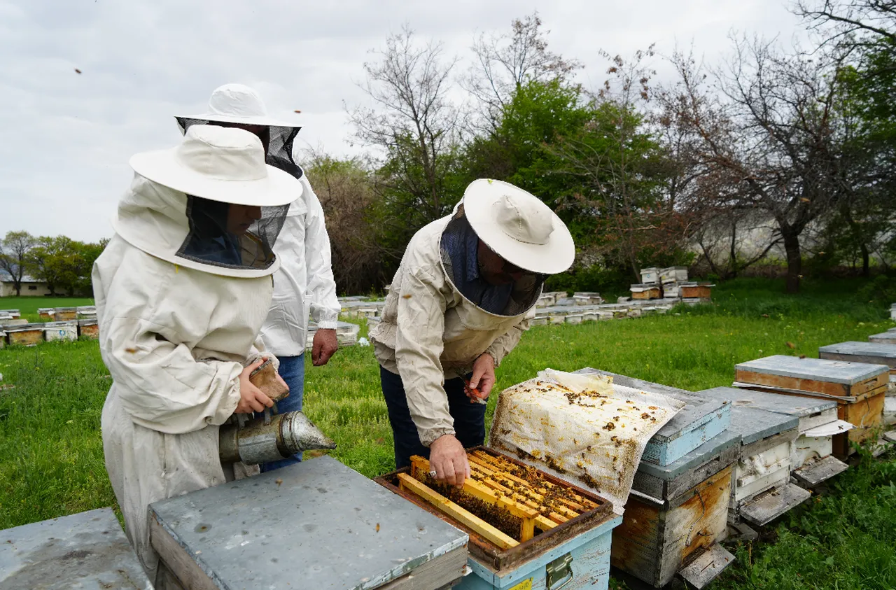 Kovanlarda uyanış mesaisi başladı