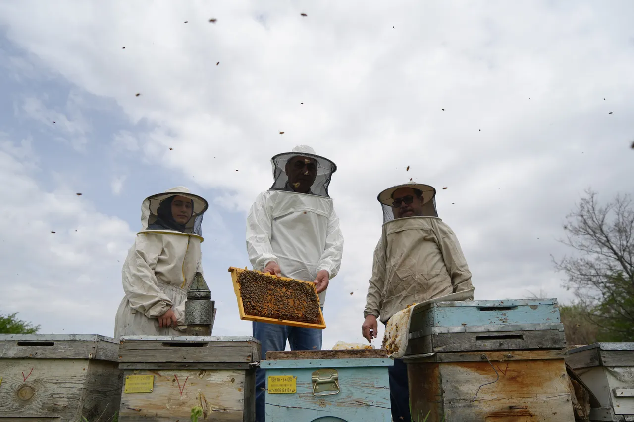 Kovanlarda uyanış mesaisi başladı: Erzincan’ın arıları bal için kanat çırpıyor