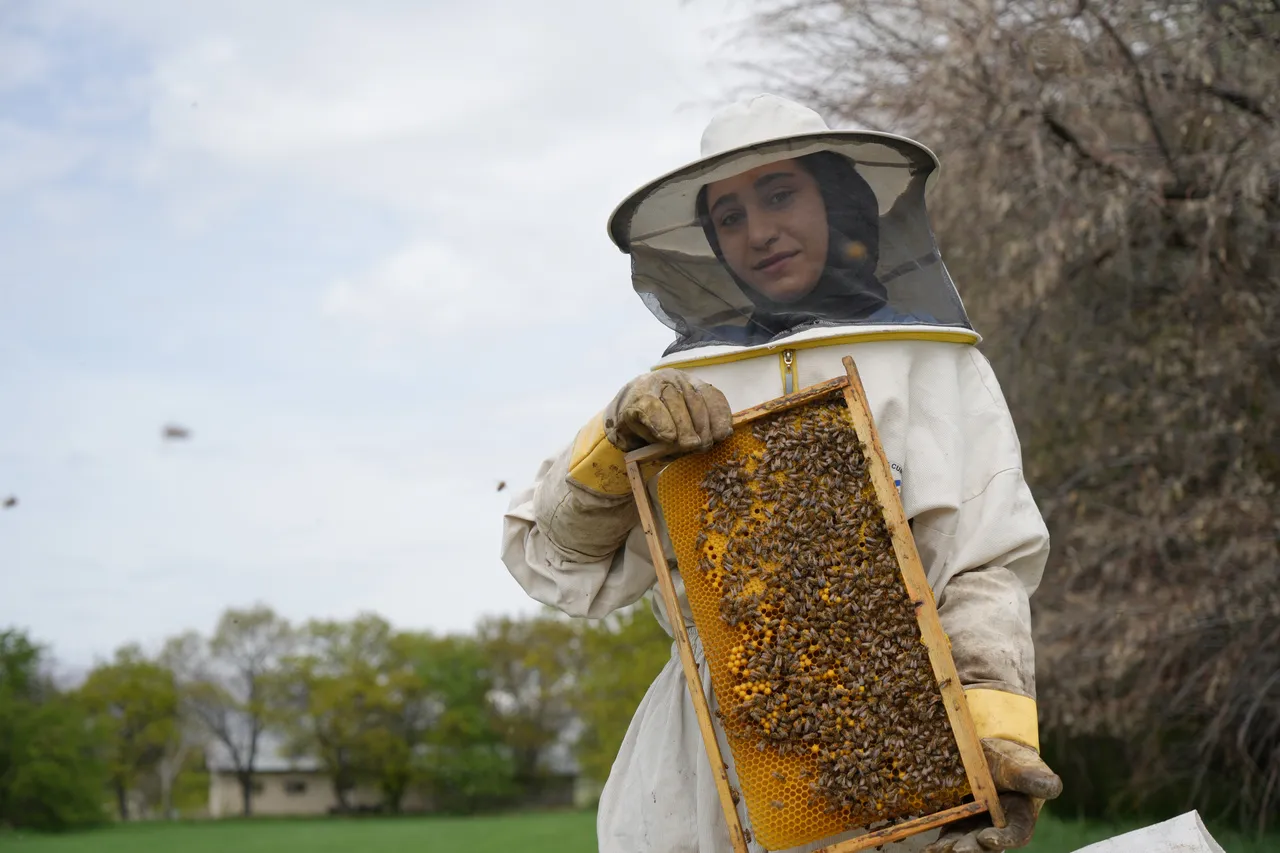 Kovanlarda uyanış mesaisi başladı: Erzincan’ın arıları bal için kanat çırpıyor