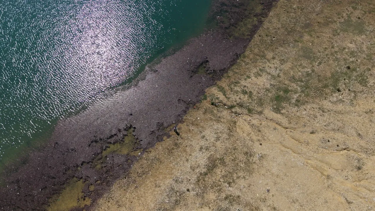 Kozan Barajında bahar bereketi: Yüzde 60 doluluk çiftçiye can suyu oldu