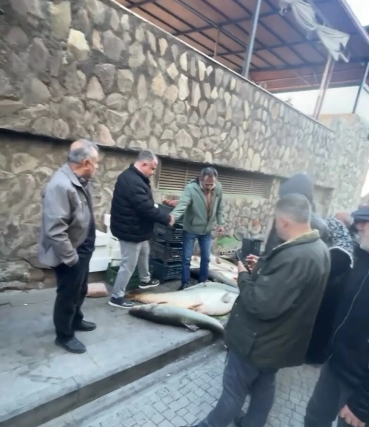 Kurban pazarlığı değil! 82 kiloluk balık için çekiştiler