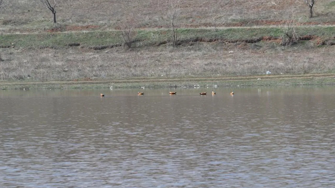 Kuruma noktasına gelmişti! 2 ayda yüzde 100 doluluğa ulaştı