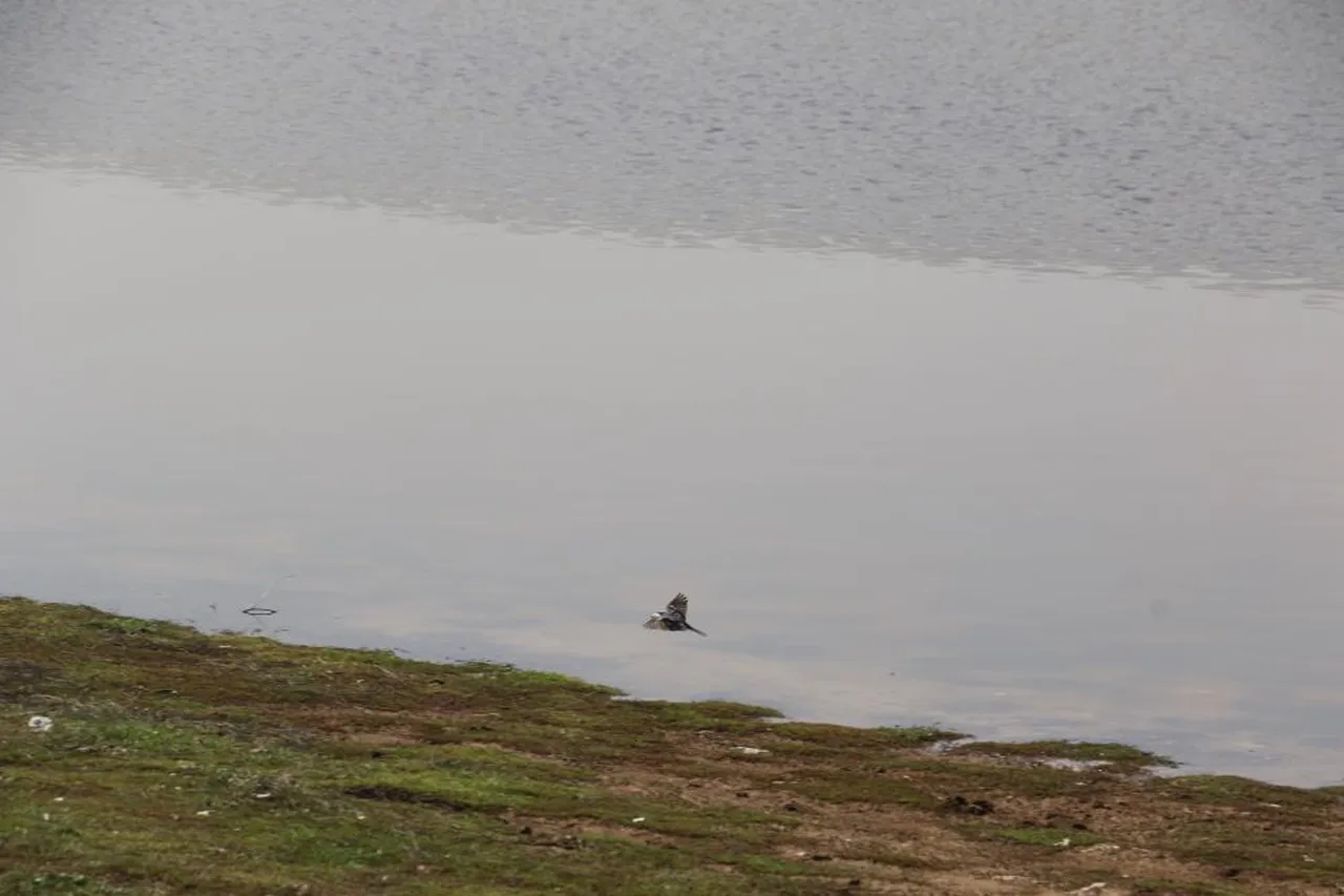 Kuruma noktasına gelmişti! 2 ayda yüzde 100 doluluğa ulaştı
