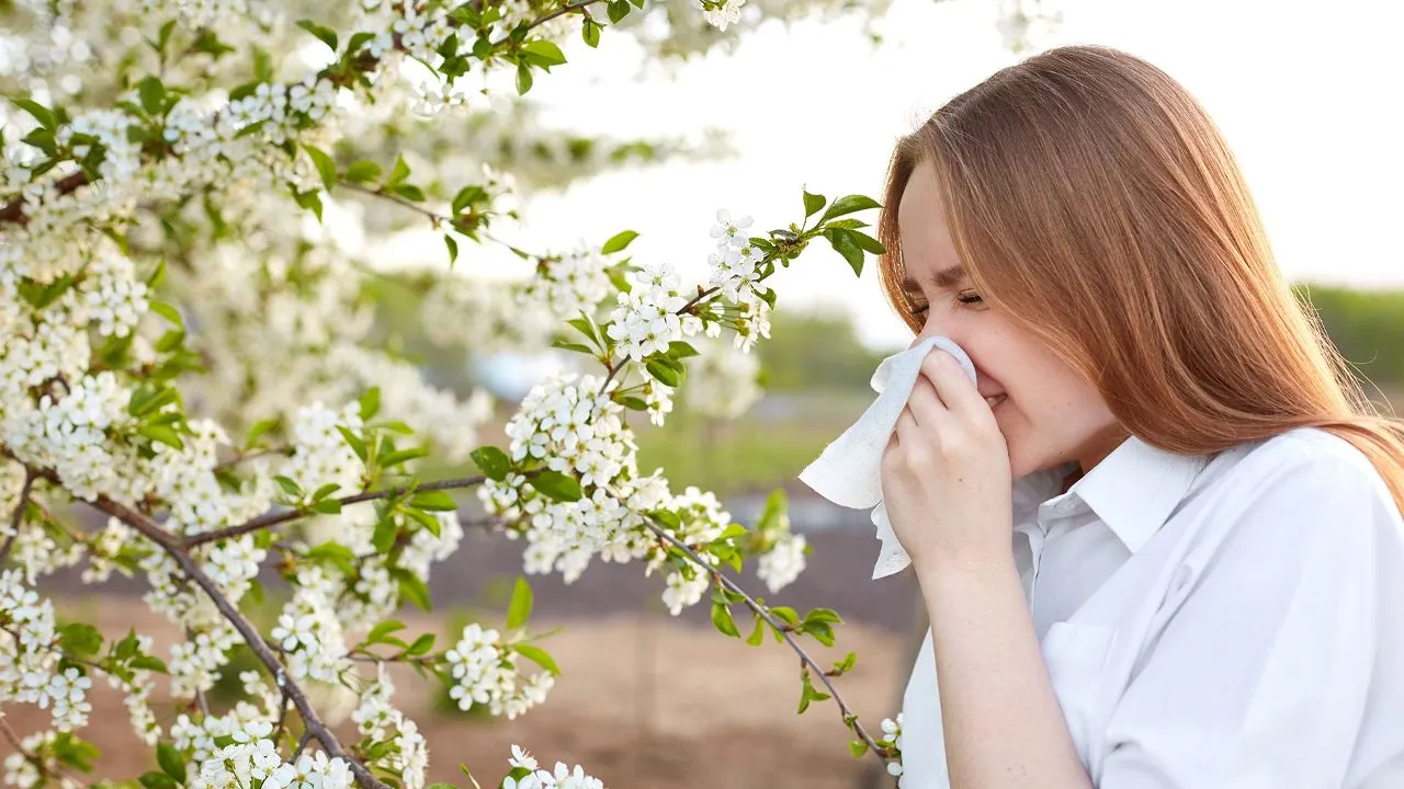 Polen kâbusu başladı: Çamaşırları dışarıda  kurutmak alerjiyi artırabilir