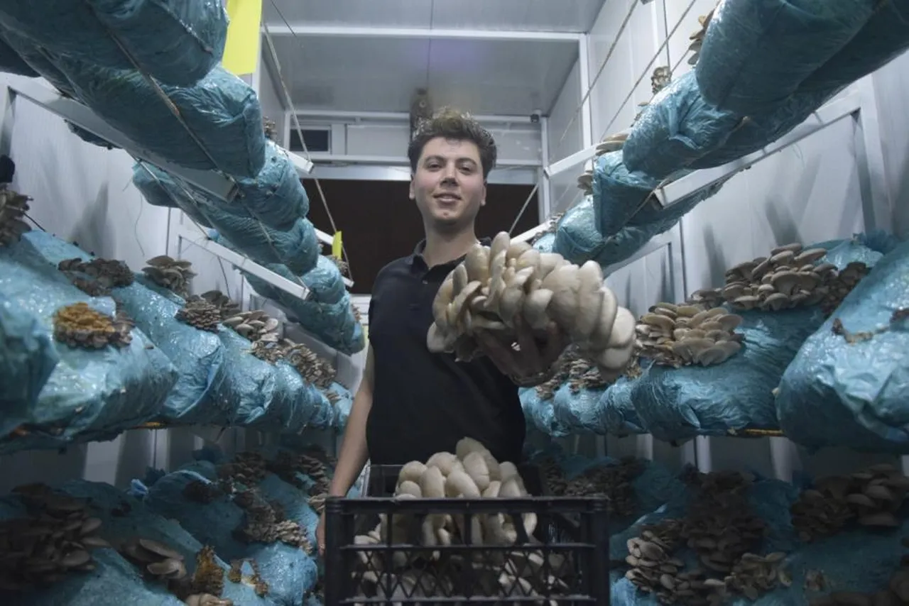 Girişimci Salih Günaydın