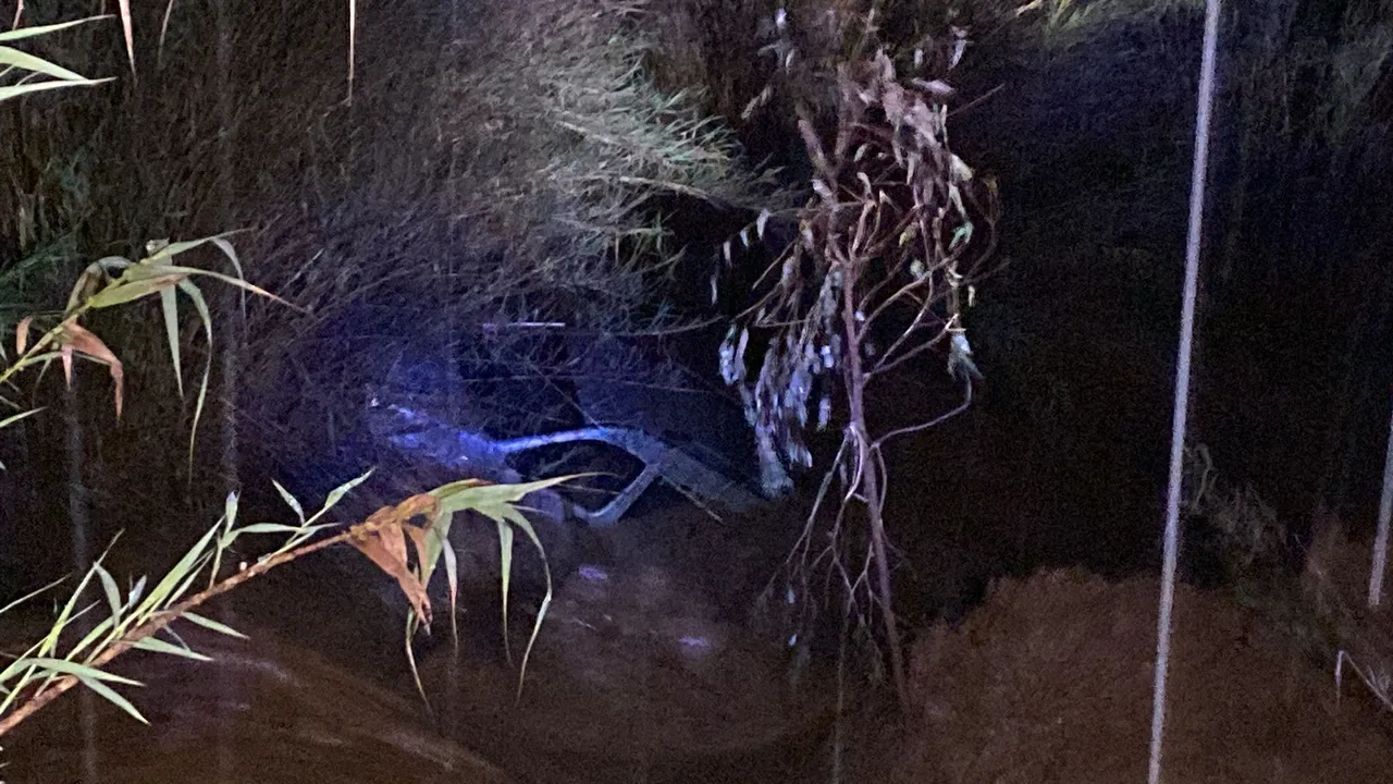 Aydında derede mahsur kalan sürücü dal parçasıyla hayata tutundu, 4 saat sonra kurtarıldı