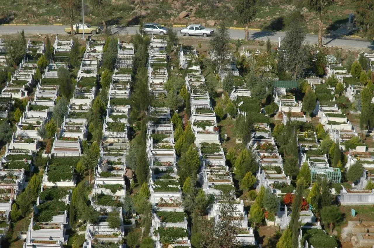 İzmir'e mezarlık yetmiyor! 70 futbol sahası büyüklüğünde alan kazıldı