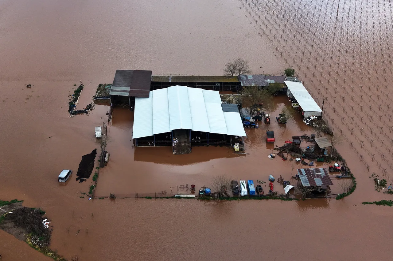 Nehir taştı çiftçi perişan oldu! Bağlar ve tarlalar sular altında kaldı