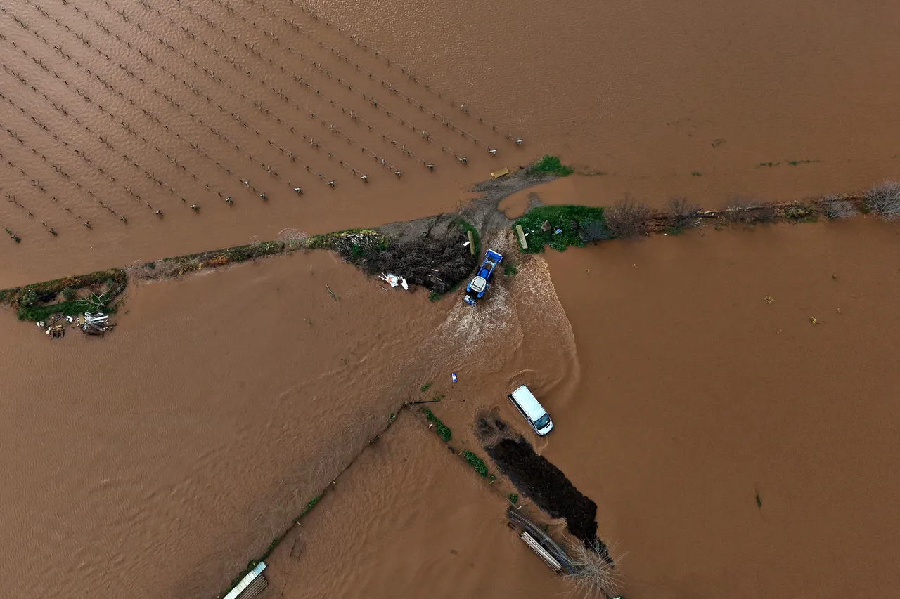 Nehir taştı çiftçi perişan oldu! Bağlar ve tarlalar sular altında kaldı