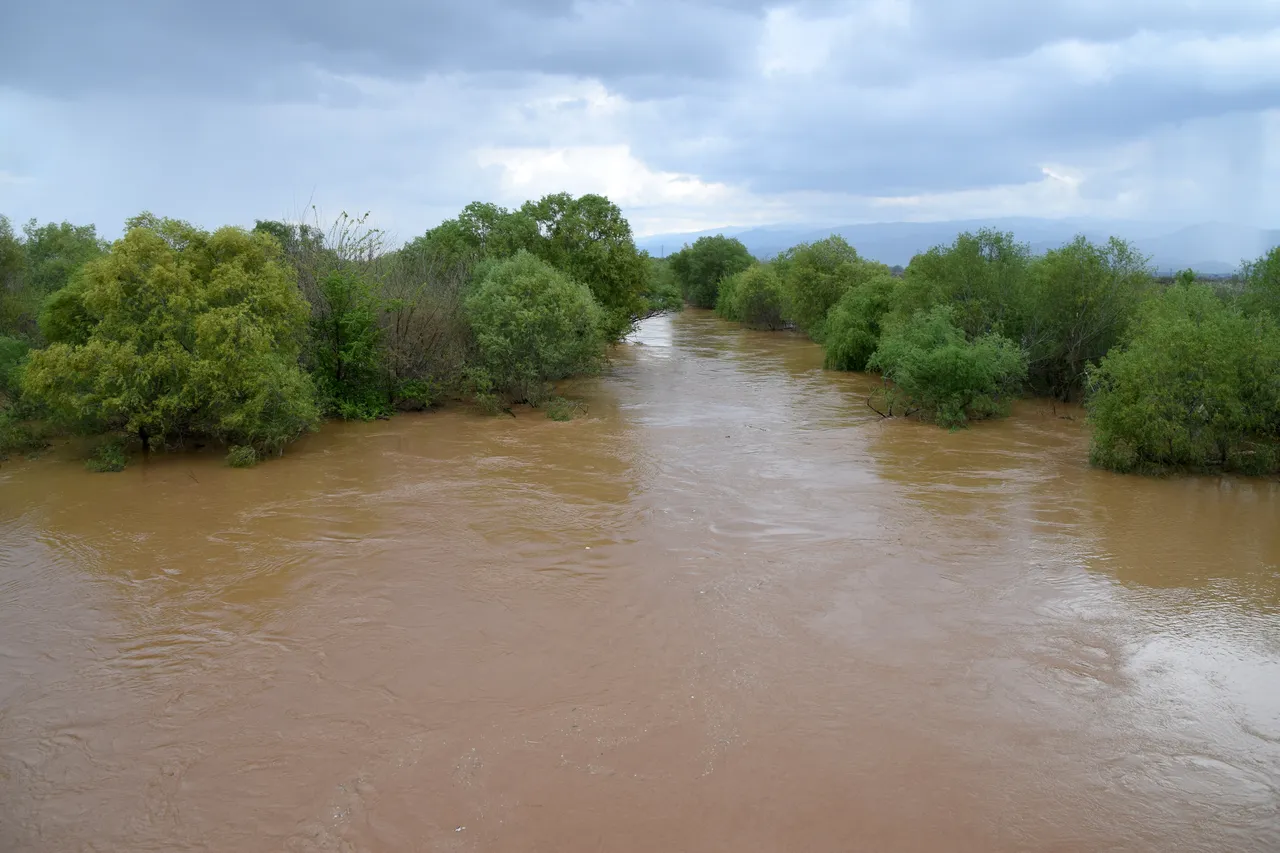 Nehir taştı çiftçi perişan oldu! Bağlar ve tarlalar sular altında kaldı