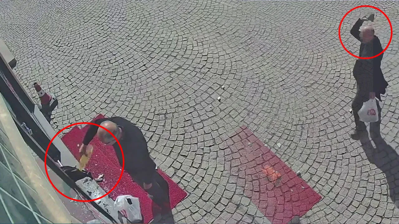 Parke taşıyla kırdı, ayçiçeği yağıyla kundaklamak istedi! Meslekten men edildi, dehşet saçtı 