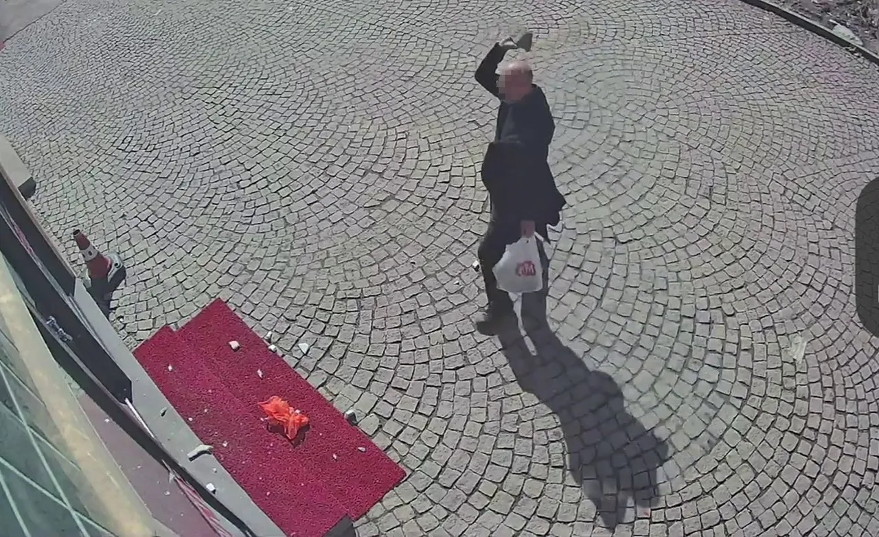 Parke taşıyla kırdı, ayçiçeği yağıyla kundaklamak istedi! Meslekten men edildi, dehşet saçtı