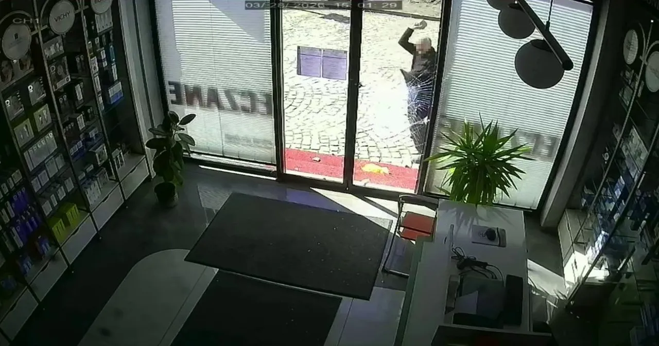 Parke taşıyla kırdı, ayçiçeği yağıyla kundaklamak istedi! Meslekten men edildi, dehşet saçtı