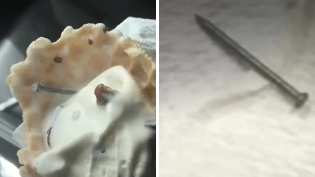 Kaynak: Wesh 2 News/ YouTube