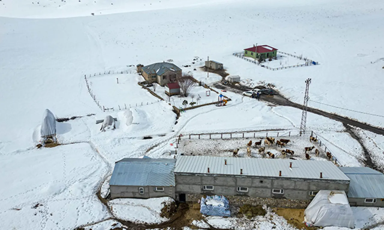 Üst düzey yöneticiliği bıraktı, köyüne döndü… Örnek başarı yakaladı: Keyif aldığımız işi yapıyoruz