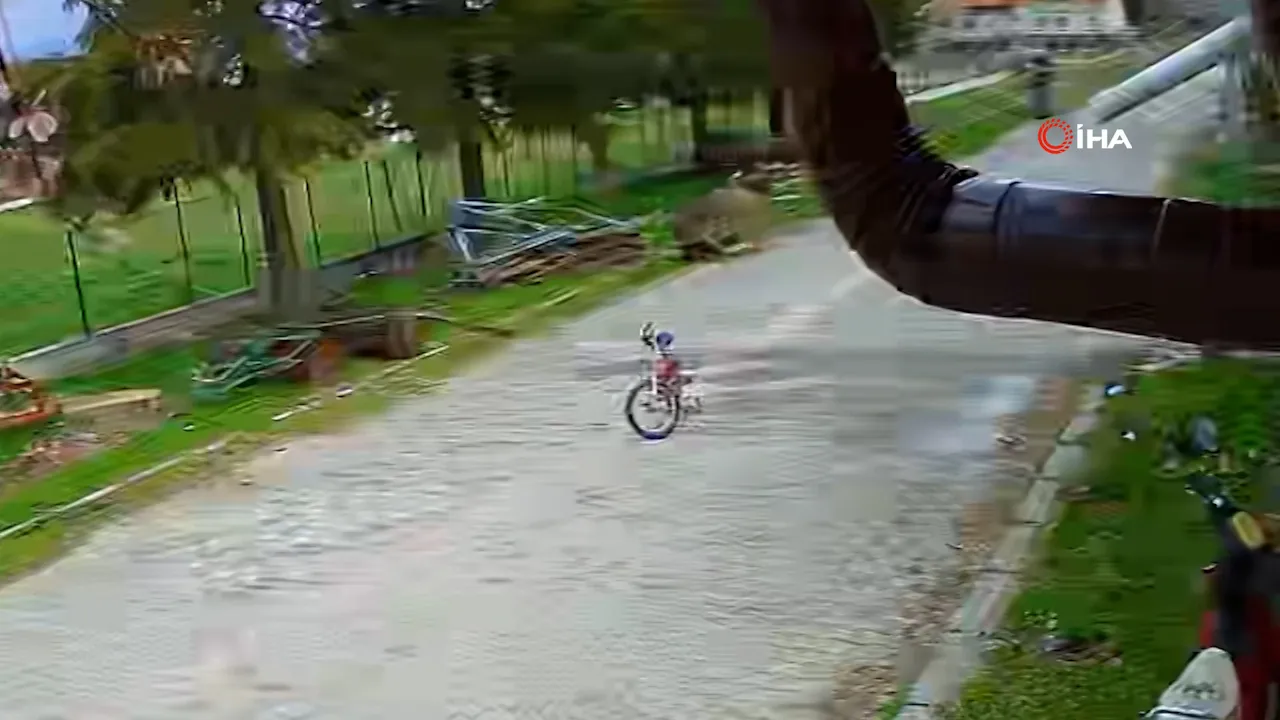 5 yaşındaki çocuğa eşek saldırdı: Kardeşi zor kurtardı! Dehşet anları kamerada