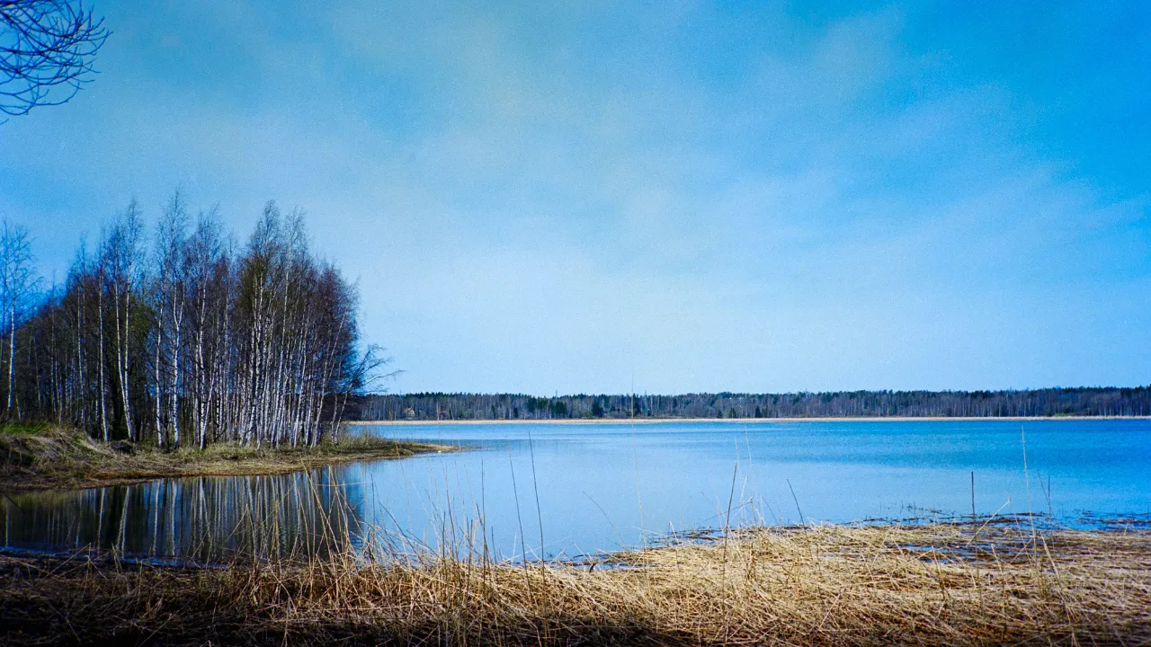 En mutlu ülke seçilen Finlandiyadan 1 haftalık ücretsiz program: Mutlu olmayı öğretecekler