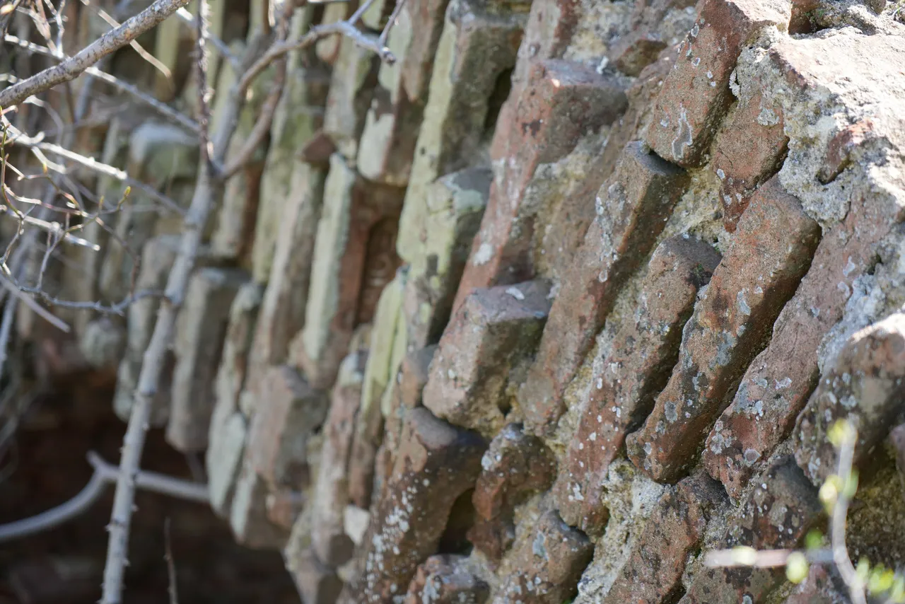 Hepsi 140 yıllık! Edirne’de sayısı çok, Osmanlı’nın Balkan karargâhı yok olmak üzere