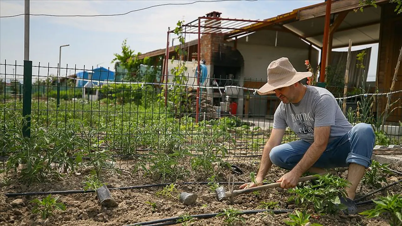 Kanun teklifi kabul edildi! Hobi bahçeleri yıkılacak mı?