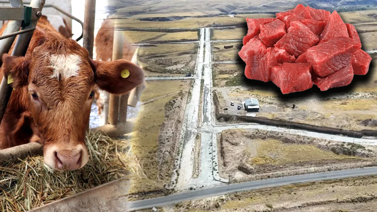 Malatya'da 'Türkiye'nin kırmızı et üssü' kuruluyor! Fiyatlarda dengeleri değiştirecek