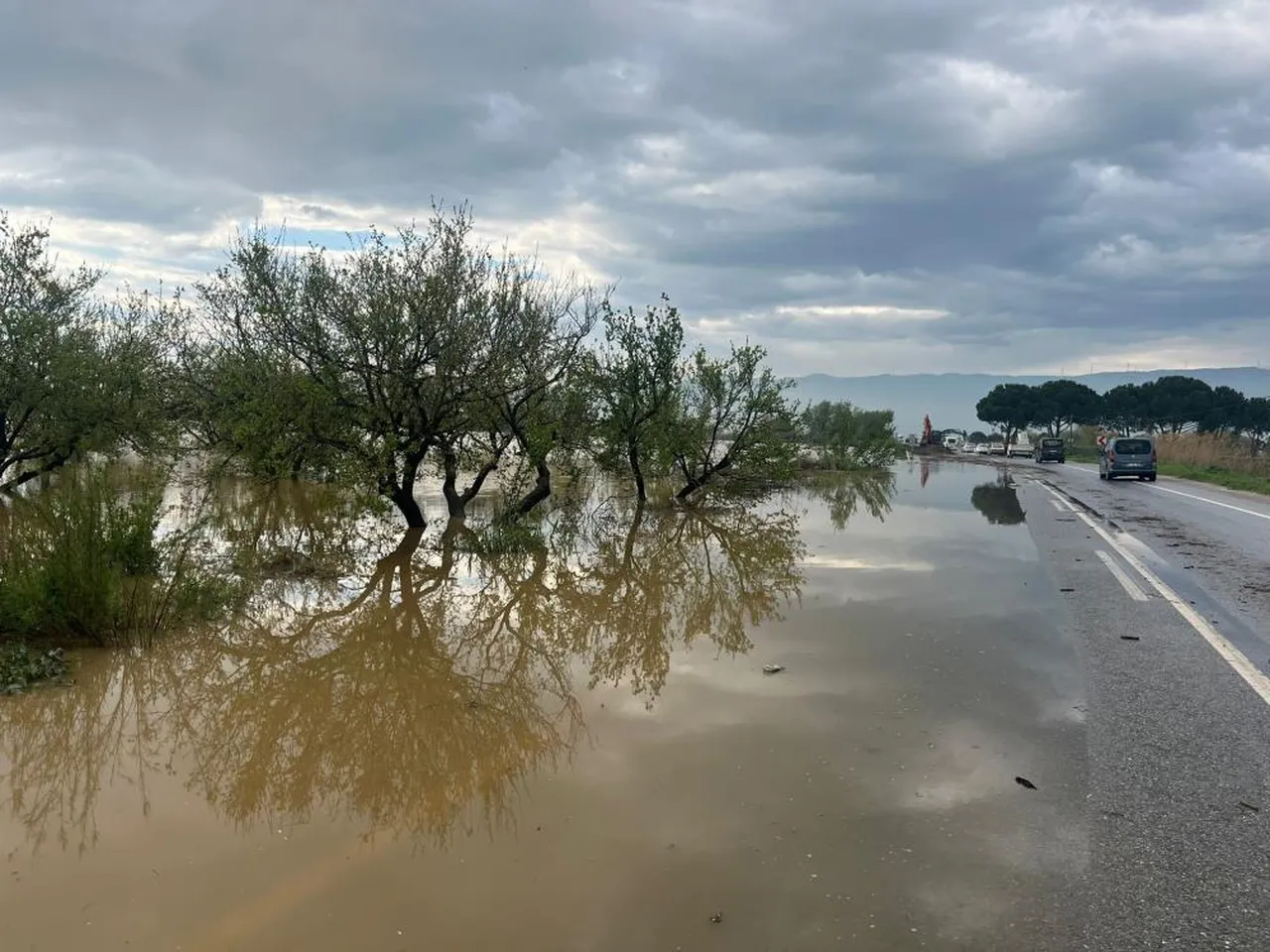 Menderes Nehri taştı! Tarım arazileri ve yol sular altında