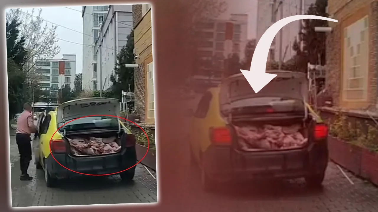 Mide bulandıran görüntü! Taksi bagajında kilolarca et taşıyan işletmeye 50 bin lira ceza 