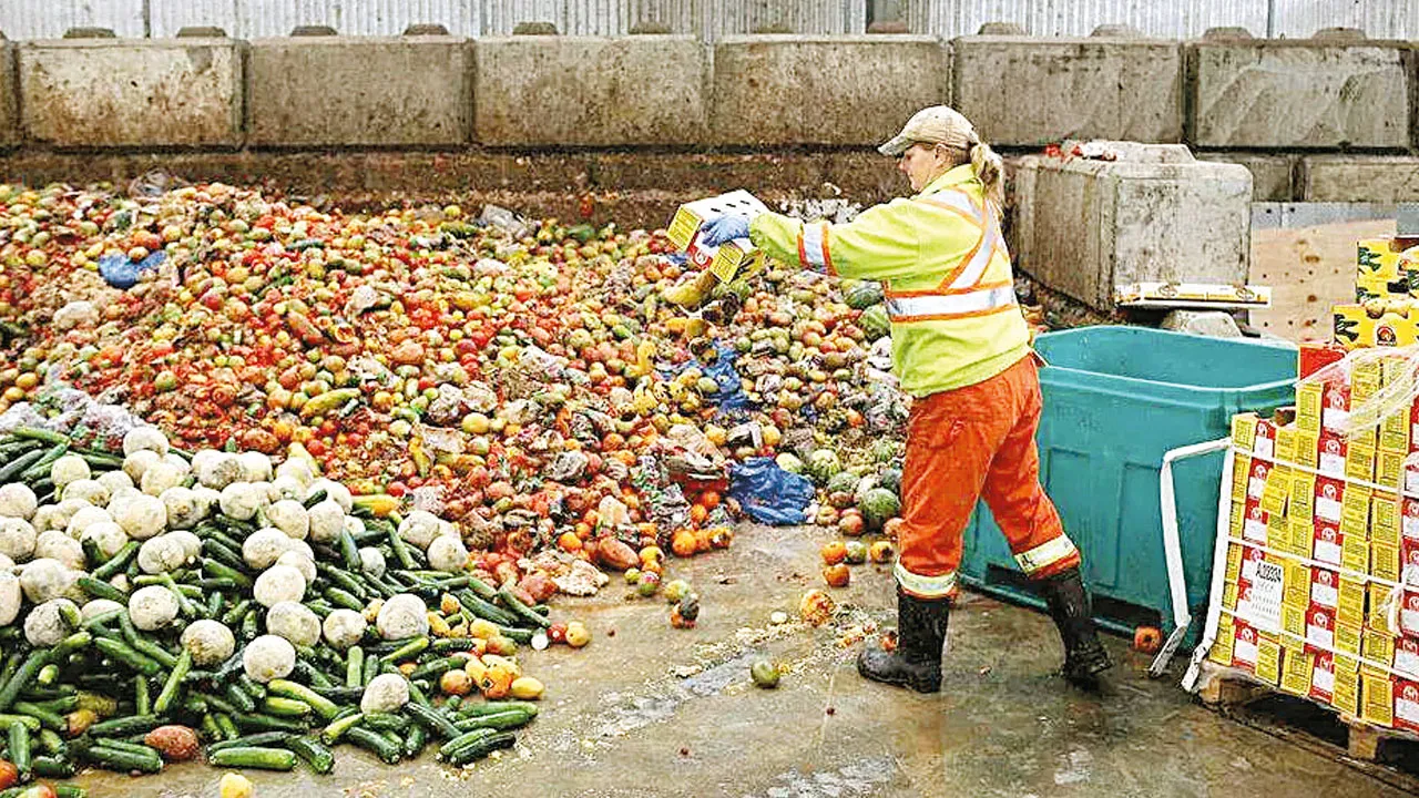 Milyonlarca insan aç ama gıdanın üçte biri çöpe gidiyor