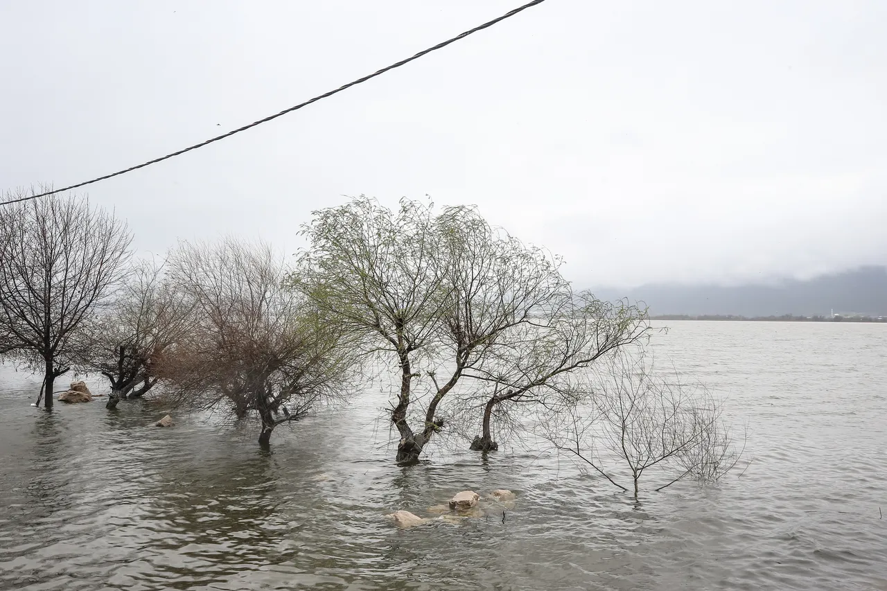 2 gün aralık süren sağanak sonrası Bursa’da tarım arazileri göle döndü