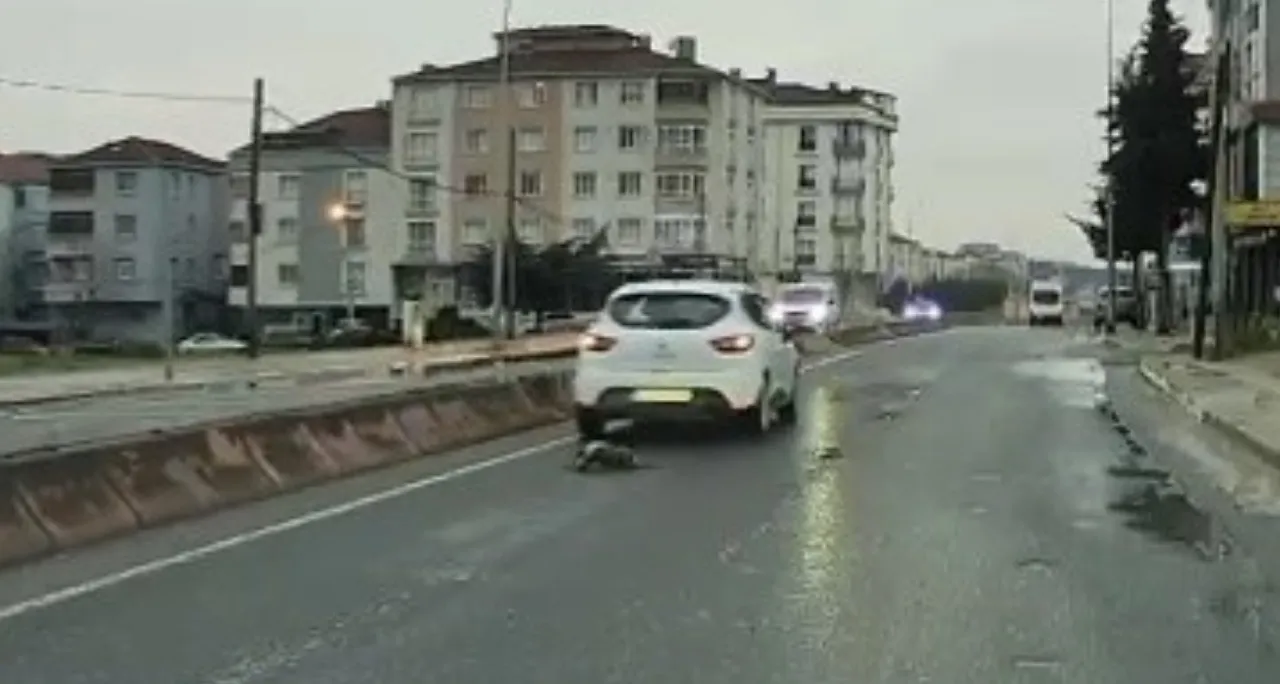 Aracın altında kalan kedi saniyeler içinde koşarak uzaklaştığı anlar araç kamerasında