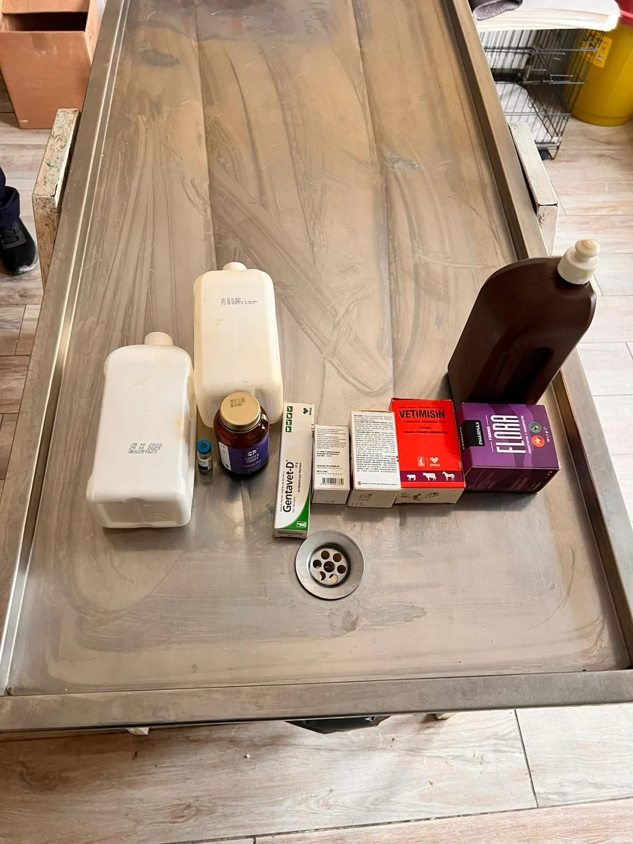 Barınak değil 'işkence' kampı: Bozüyük’teki vahşette 'ilaç' skandalı da ortaya çıktı