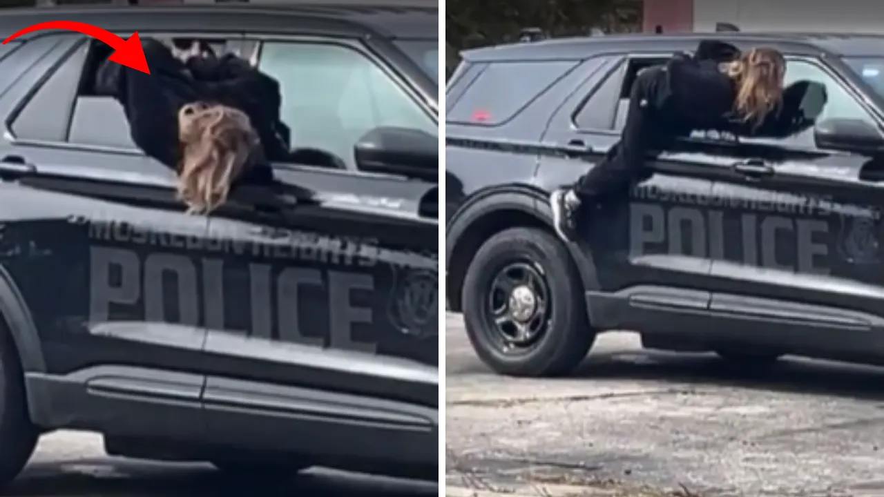 Görenlerin ağzı açık kaldı! Elleri kelepçeli şüpheli polis arabasından böyle firar etti