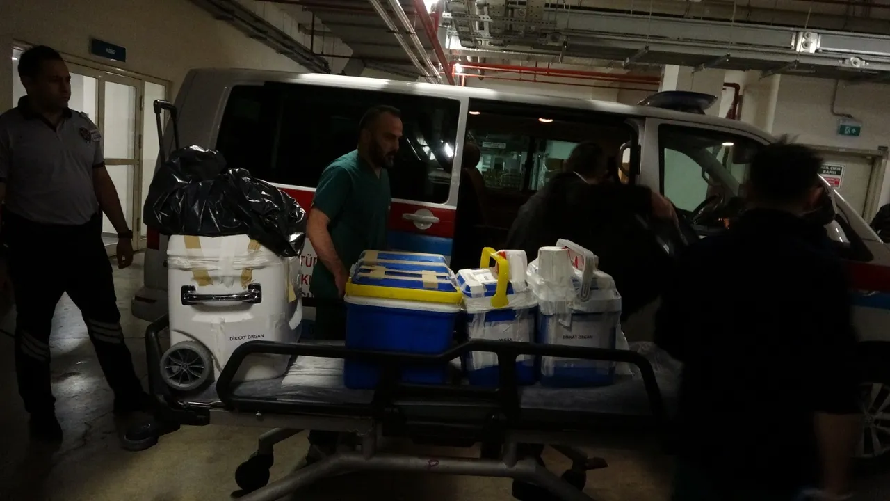 Hasbi Dedenin taciz ettiği genç kız hayatını kaybetmişti! Organları 4 ile gönderildi