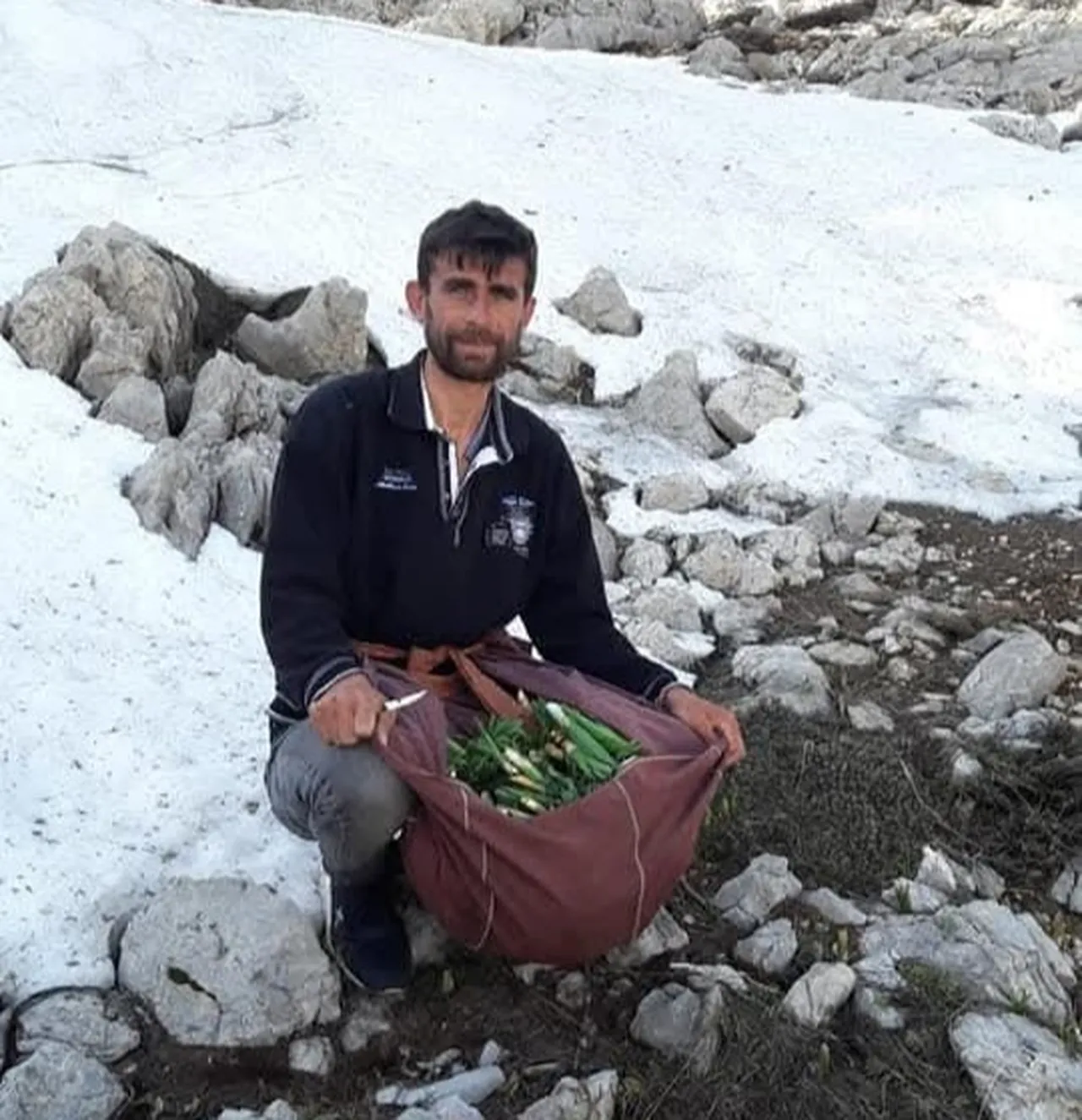 Kendi kendine yetişiyor, kilosu 300 lira! Dağlardan toplayıp günde 21 bin lira kazanıyorlar