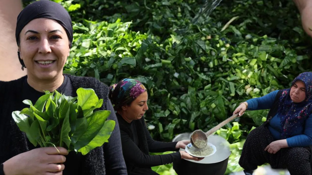 ‘Andırın’ doktoru olarak biliniyor! Yılda sadece 2 ay toplanıyor, kabızlığa birebir…