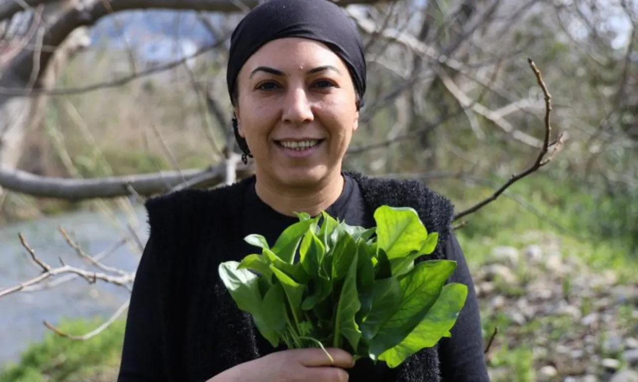 'Andırın doktoru' olarak biliniyor! Yılda sadece 2 ay toplanıyor, kabızlığa birebir…