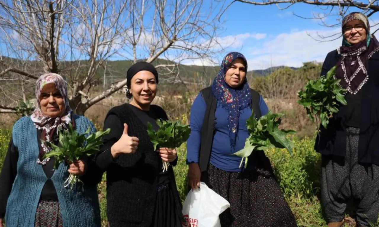 'Andırın doktoru' olarak biliniyor! Yılda sadece 2 ay toplanıyor, kabızlığa birebir…