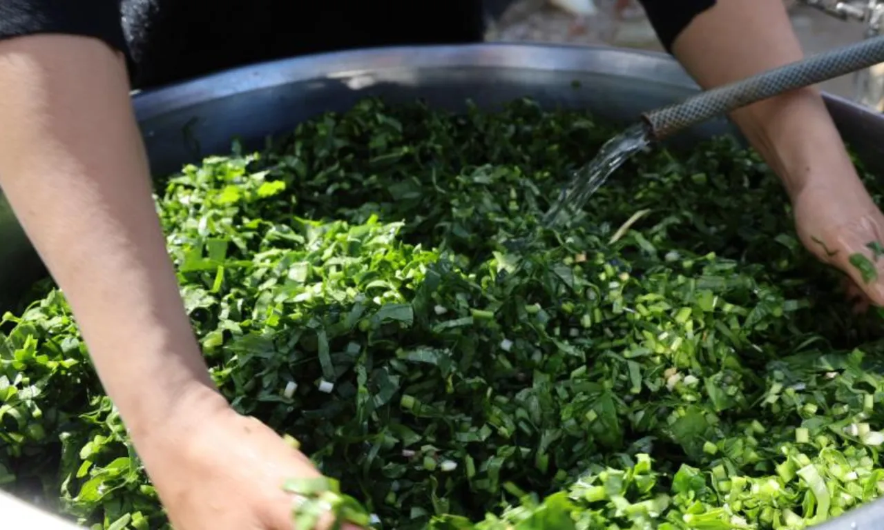 'Andırın doktoru' olarak biliniyor! Yılda sadece 2 ay toplanıyor, kabızlığa birebir…
