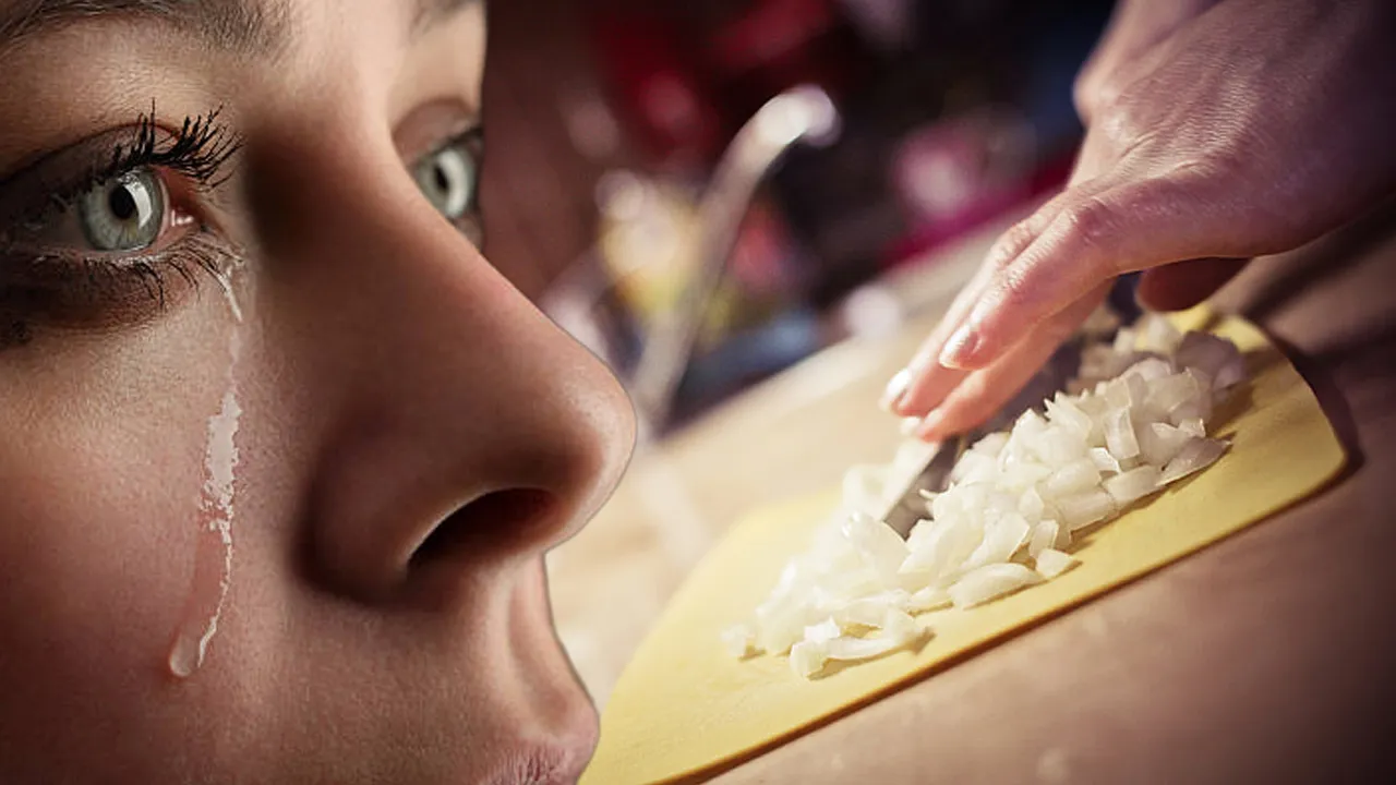 ‘Göz yaşartmayan soğan’ raflara çıktı! Bu yıl 180 ton satılacak