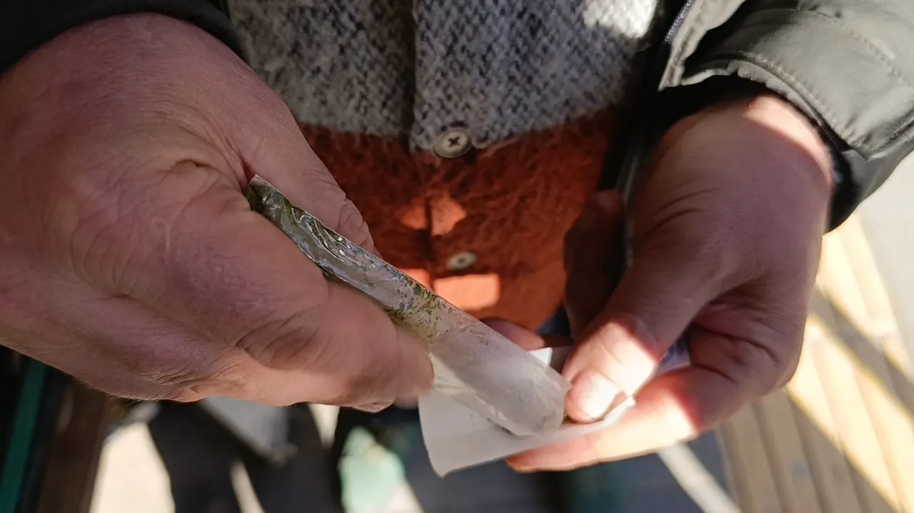 Maraş otuna dikkat! Uzmanı “8 paket sigaraya bedel” diyerek uyardı