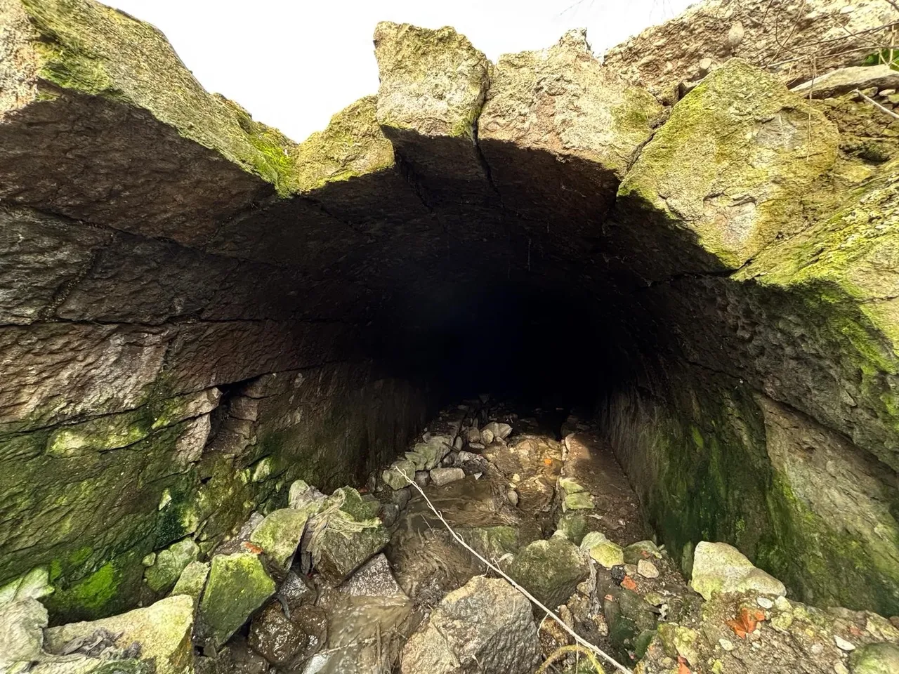 Türkiye’de başka örneği yok… Yıllardır toprağın altındaydı, Trabzon’da gün yüzüne çıktı