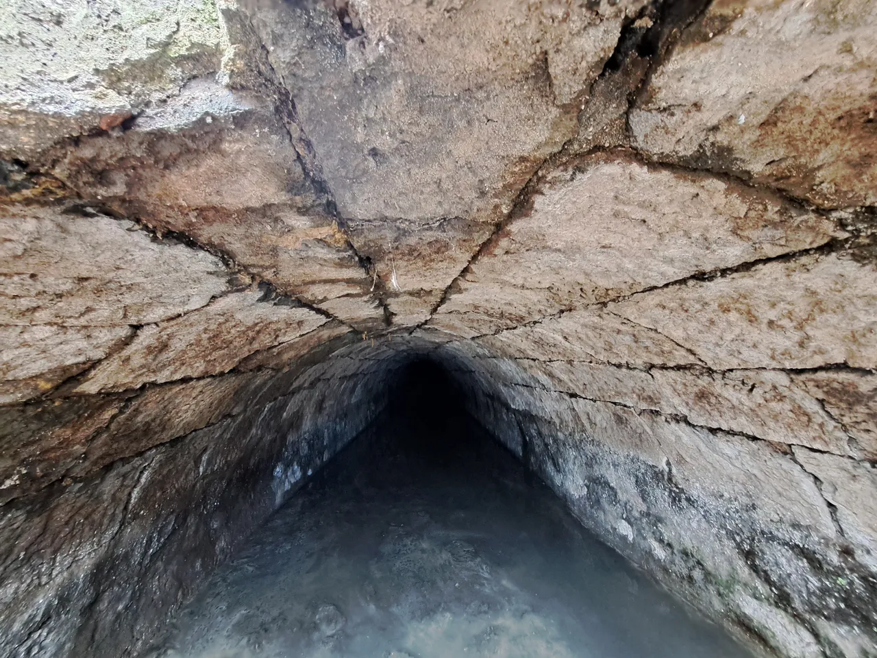 Türkiye’de başka örneği yok… Yıllardır toprağın altındaydı, Trabzon’da gün yüzüne çıktı