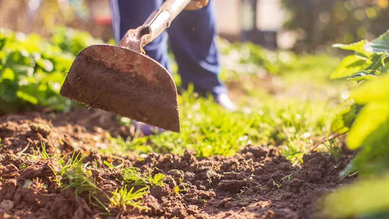 Bir, iki derken üçüncü de düştü! Bahar geldi, sezon başlıyor