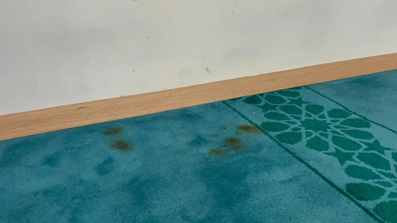 Camide çirkin saldırı! Kapıyı duvarı kırıp, halıda sigara söndürdüler