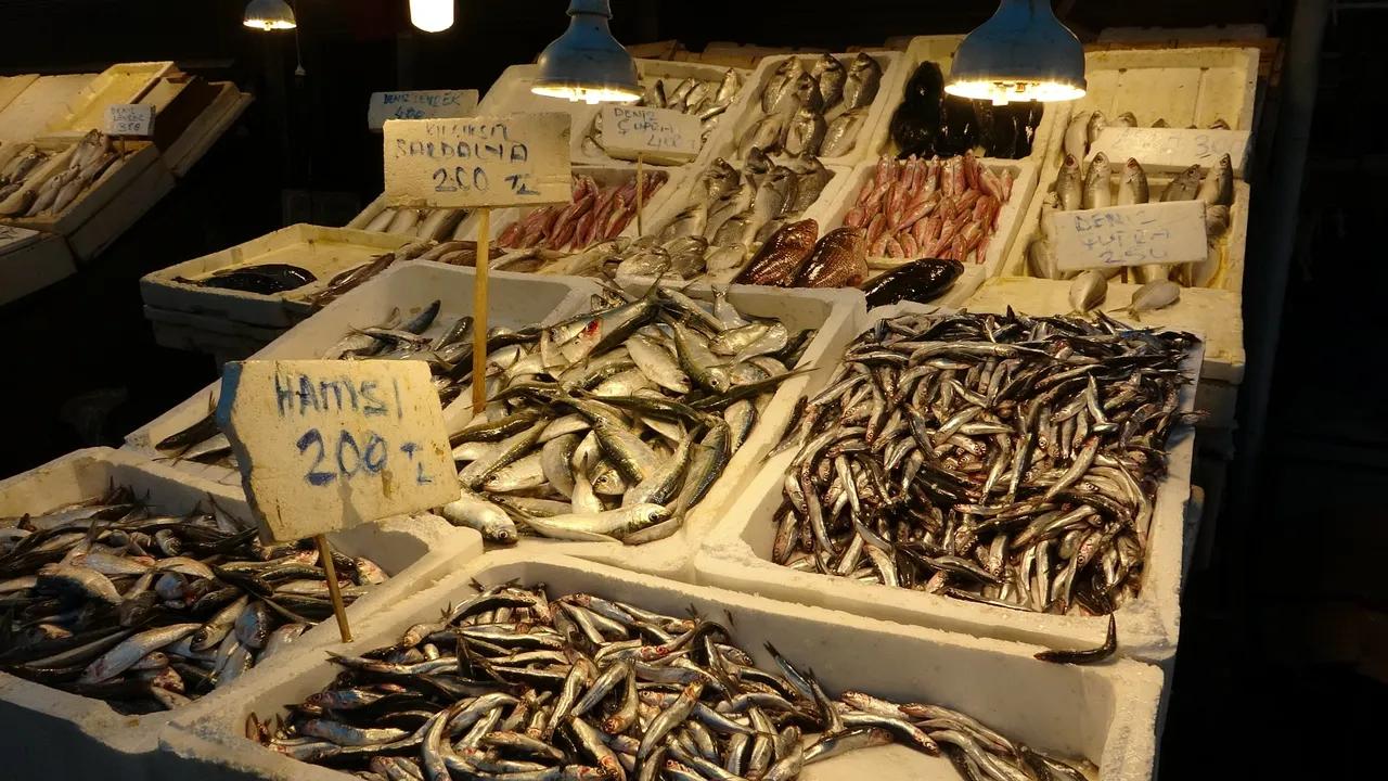 Hint Okyanusundan Türkiye'ye! Tezgahta yerini aldı, kilosu 700 lira