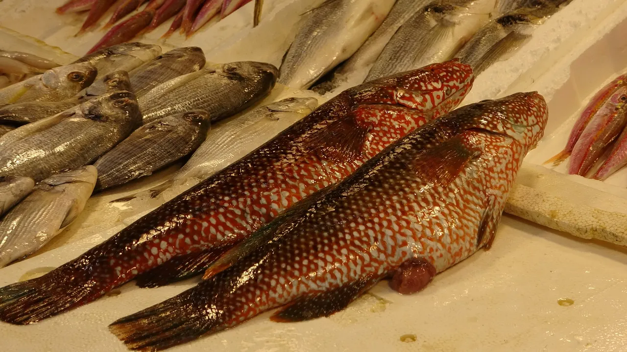 Hint Okyanusundan Türkiye'ye! Tezgahta yerini aldı, kilosu 700 lira