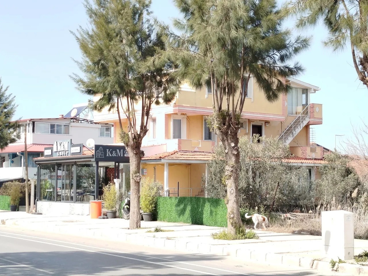 Tahliye anlaşmazlığı cinayetle bitti: Ev sahibi kiracısının oğlunu vurdu